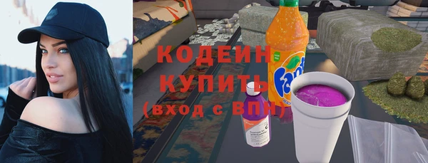 прущие грибы Дмитриев