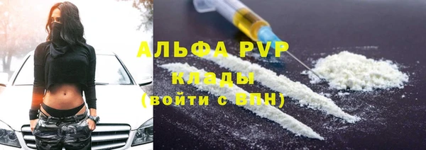 гашик Ельня