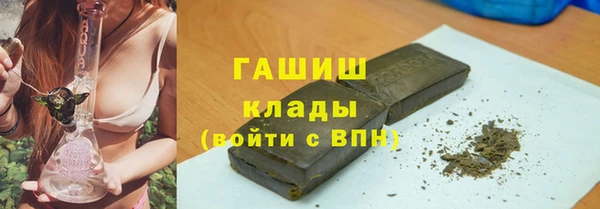 прущие грибы Дмитриев