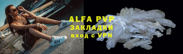 прущие грибы Дмитриев