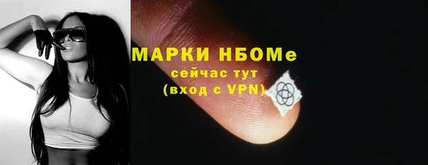 прущие грибы Дмитриев