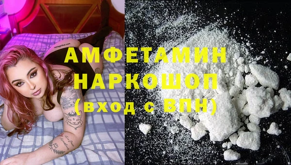 прущие грибы Дмитриев