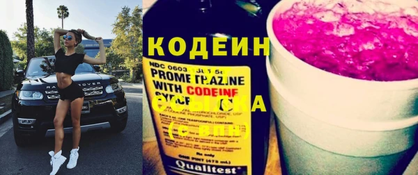 прущие грибы Дмитриев