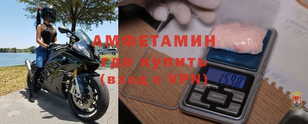 прущие грибы Дмитриев