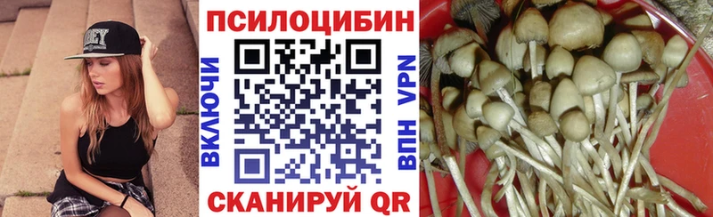 Галлюциногенные грибы Magic Shrooms  как найти закладки  Западная Двина 